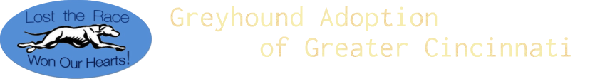 Greyhound Adoption of Greater Cincinnati